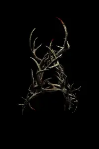 Poster to the movie "Antlers" #294087