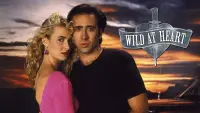 Backdrop to the movie "Wild at Heart" #245072