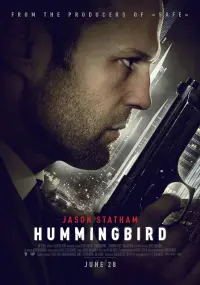 Poster to the movie "Hummingbird" #53902