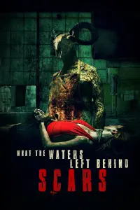 Poster to the movie "What the Waters Left Behind: Scars" #144781