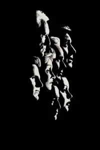 Poster to the movie "Judgment at Nuremberg" #672391