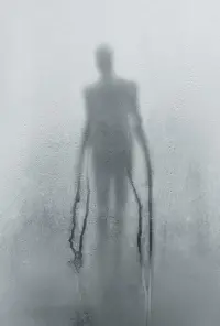 Poster to the movie "Slender Man" #323570