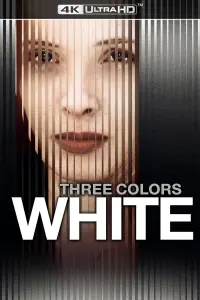 Poster to the movie "Three Colors: White" #213021