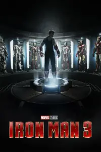 Poster to the movie "Iron Man 3" #21279