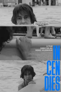 Poster to the movie "Incendies" #633343