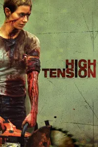 Poster to the movie "High Tension" #107185