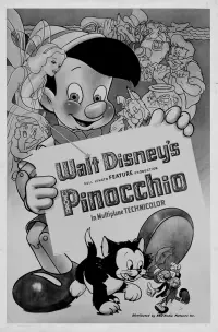 Poster to the movie "Pinocchio" #239755