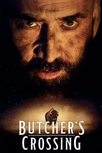 Poster to the movie "Butcher