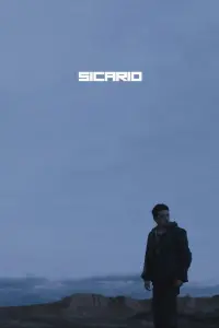 Poster to the movie "Sicario" #39679