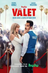 Poster to the movie "The Valet" #77864