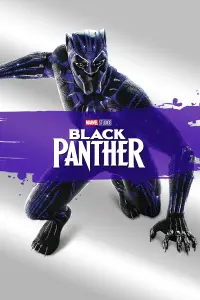 Poster to the movie "Black Panther" #219887