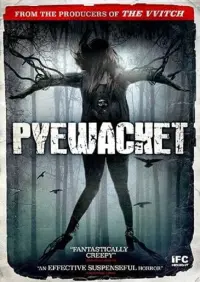 Poster to the movie "Pyewacket" #346995