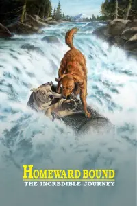 Poster to the movie "Homeward Bound: The Incredible Journey" #251073