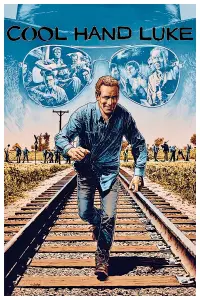 Poster to the movie "Cool Hand Luke" #102971