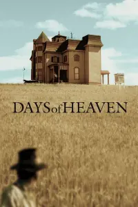 Poster to the movie "Days of Heaven" #140733