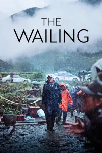 Poster to the movie "The Wailing" #133925