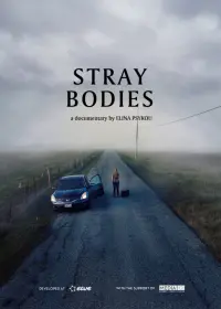 Poster to the movie "Stray Bodies" #366618