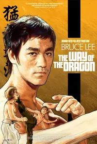 Poster to the movie "The Way of the Dragon" #82879