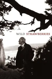 Poster to the movie "Wild Strawberries" #177616