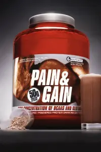 Poster to the movie "Pain & Gain" #77021