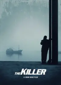 Poster to the movie "The Killer" #481307