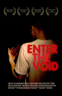 Poster to the movie "Enter the Void" #132335