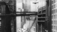 Backdrop to the movie "Metropolis" #177426