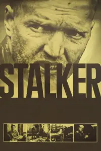 Poster to the movie "Stalker" #176915