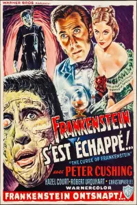 Poster to the movie "The Curse of Frankenstein" #449421