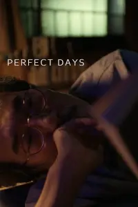 Poster to the movie "Perfect Days" #463477