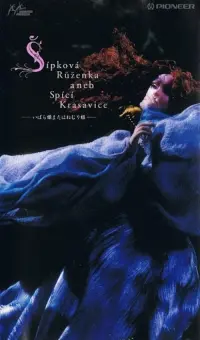 Poster to the movie "Briar-Rose or the Sleeping Beauty" #594147