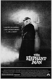 Poster to the movie "The Elephant Man" #124275