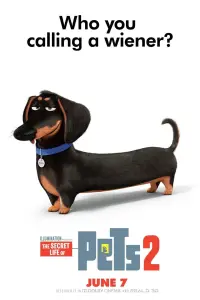 Poster to the movie "The Secret Life of Pets 2" #32680