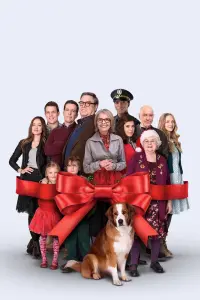 Poster to the movie "Love the Coopers" #309304