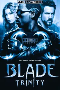 Poster to the movie "Blade: Trinity" #318928