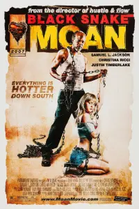 Poster to the movie "Black Snake Moan" #257977