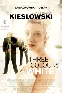 Poster to the movie "Three Colors: White" #99641