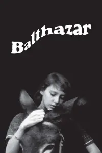 Poster to the movie "Au Hasard Balthazar" #206232