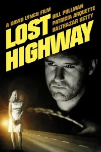 Poster to the movie "Lost Highway" #120868