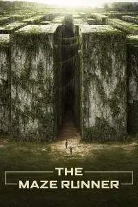 Poster to the movie "The Maze Runner" #7907