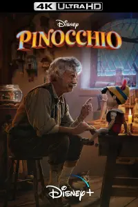 Poster to the movie "Pinocchio" #59584