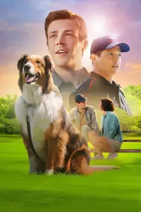 Poster to the movie "Rescued by Ruby" #348904