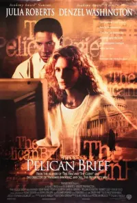 Poster to the movie "The Pelican Brief" #276840