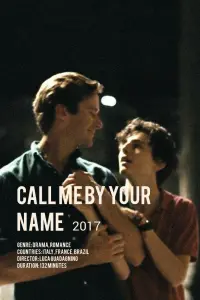 Poster to the movie "Call Me by Your Name" #37233