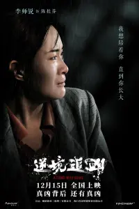 Poster to the movie "逆境追凶" #611458