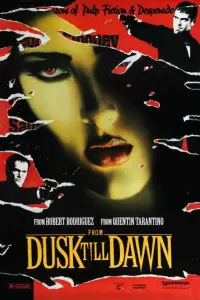 Poster to the movie "From Dusk Till Dawn" #69487