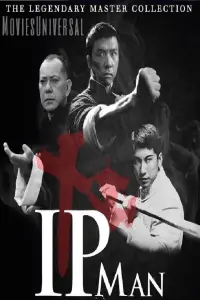 Poster to the movie "Ip Man" #132518