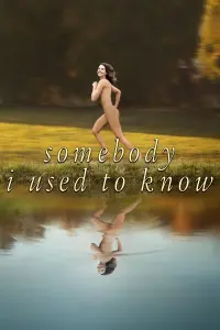 Poster to the movie "Somebody I Used to Know" #68178