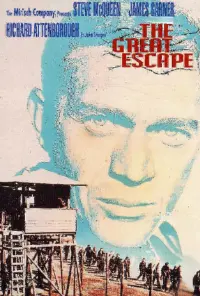 Poster to the movie "The Great Escape" #77849