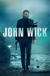 Poster to the movie "John Wick" #51526